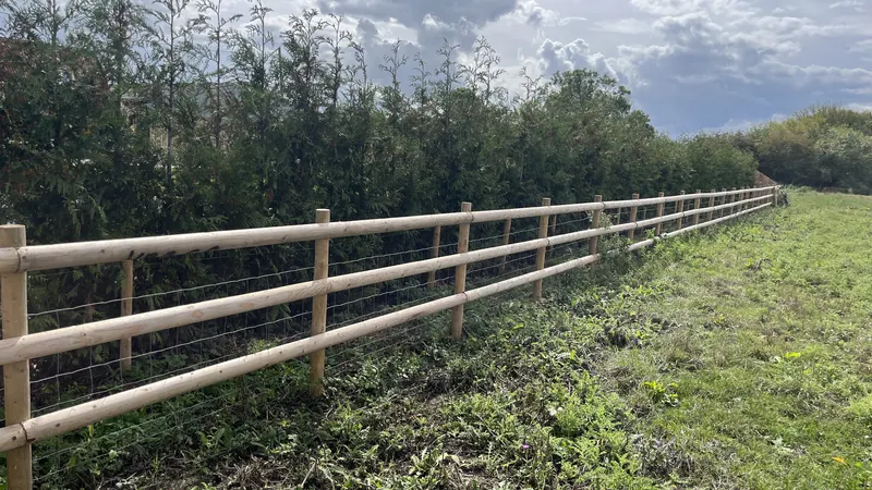 New post and rail fencing with stock wire running beside a tall hedge line under a big Somerset sky