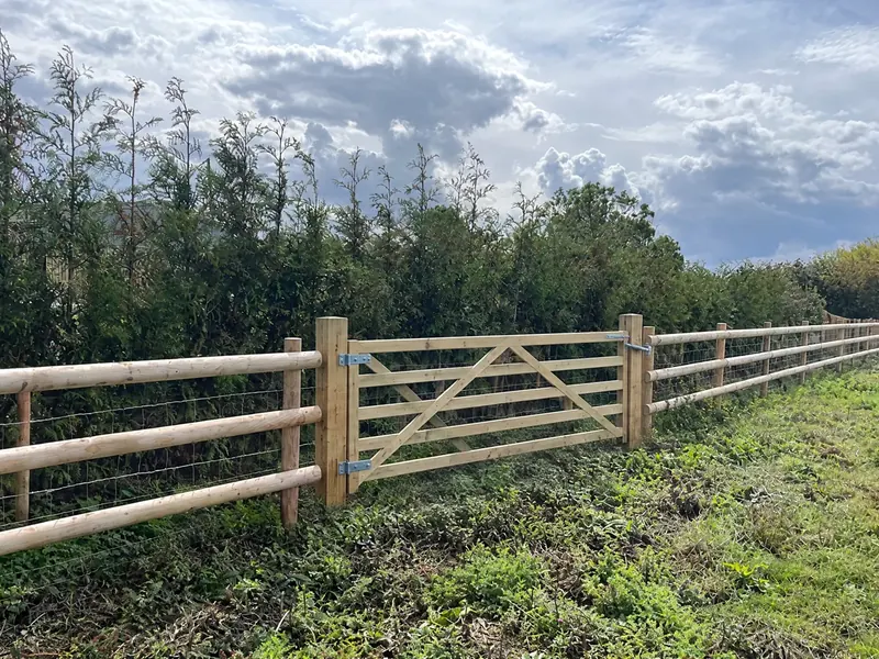 A five-bar field gate in a post and rail fence beside a hedge