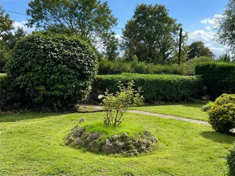One garden of ours from overgrown to tidy, before and after photos