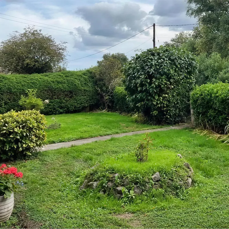 An overgrown garden with long grass before it was cleared