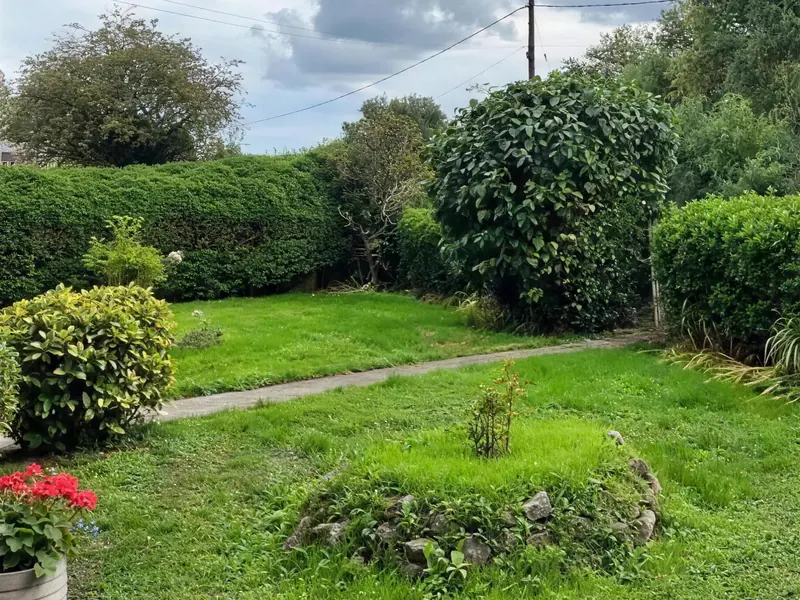 An overgrown garden with long grass before it was cleared