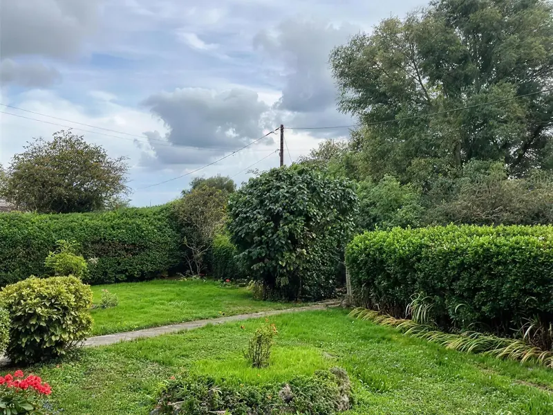 Before: an overgrown lawn round a stone-edged bed, the hedges shaggy