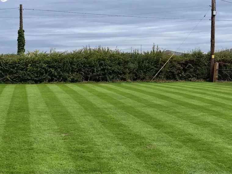 A freshly striped farmhouse lawn seen from the patio, a hedge line and closeboard fence beyond