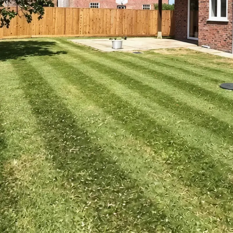 A freshly mown lawn with stripes