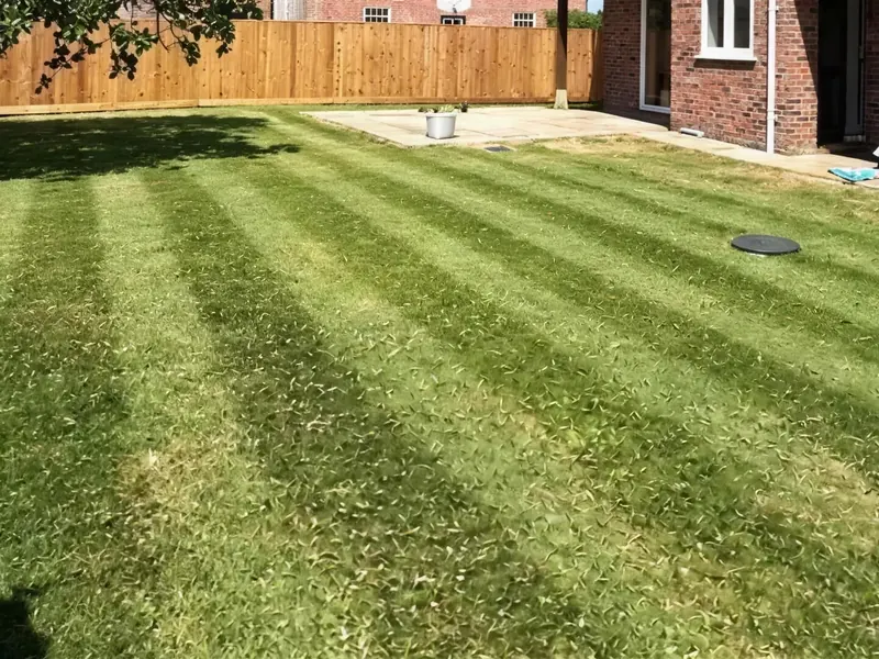 A freshly mown lawn with stripes